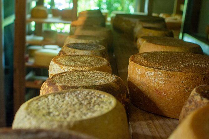 private-guided-tour-of-cheese-in-canaan-de-rivas