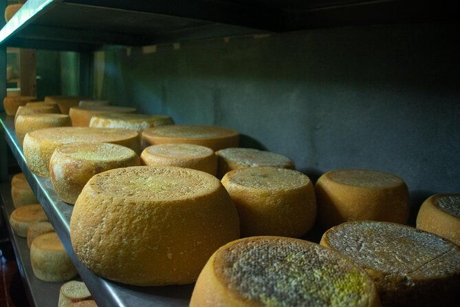 private-guided-tour-of-cheese-in-canaan-de-rivas
