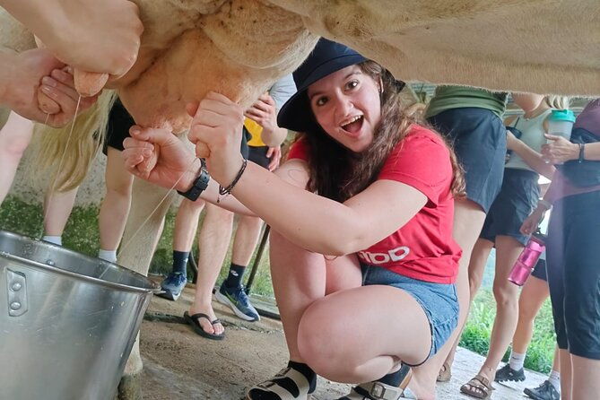 private-guided-tour-of-cheese-in-canaan-de-rivas