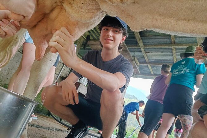 private-guided-tour-of-cheese-in-canaan-de-rivas