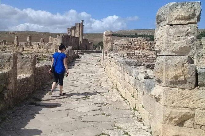 Private Guided Tour of Dougga and Testour Mosque - Who Will Love This Tour?