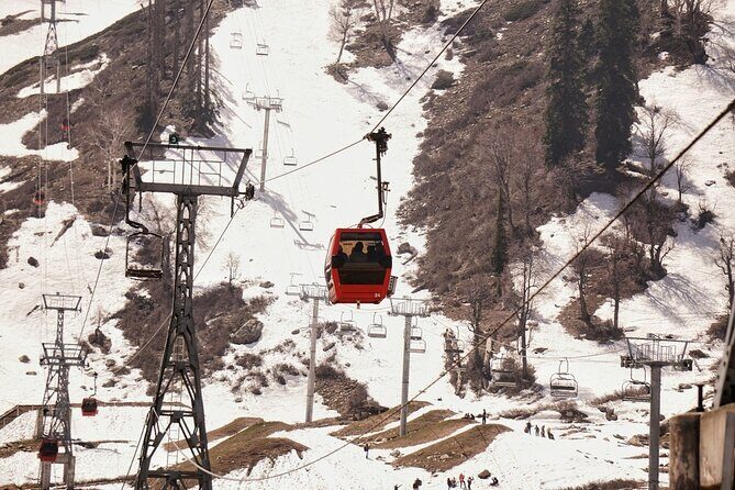 Private Guided Tour of Gulmarg from Srinagar - Key Points