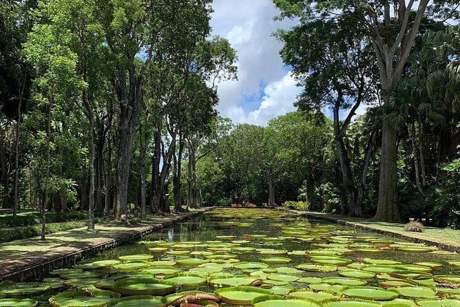 Private Guided Tour of Northern Mauritius with Shopping in Port Louis - What Makes This Tour Stand Out?