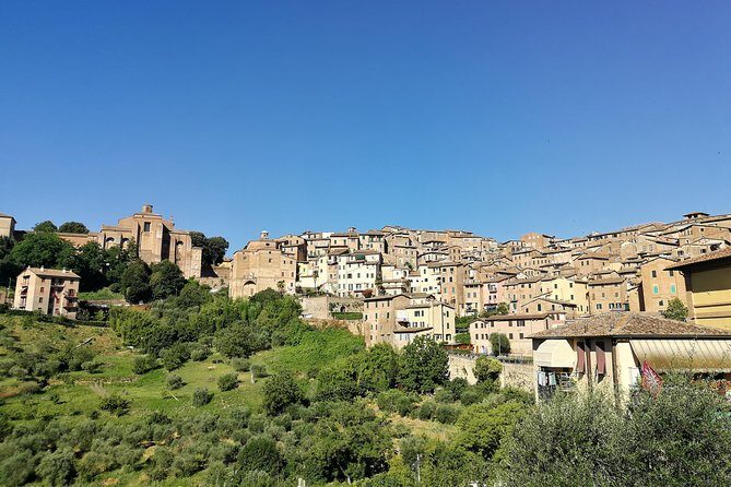 Private Guided Tour of Siena with a Licensed Local Tour Guide - Exploring Siena in Style: A Private Guided Tour Review