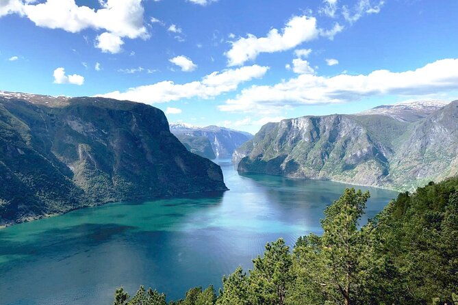 private-guided-tour-premium-naeroyfjord-cruise-and-flam-railway