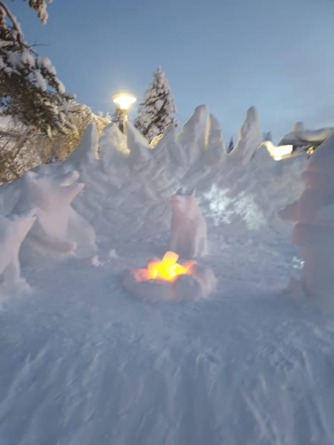 private-guided-tour-rovaniemi-to-kakslauttanen-saariselka