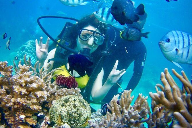 Private Guided Tour Scuba Diving At Marine Protected Area Included Lunch - Who Should Consider This Tour?