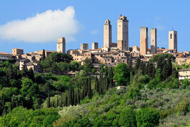 private-guided-tour-siena-san-gimignano-and-chianti-day-trip-from-florence