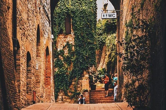 private-guided-tour-siena-san-gimignano-and-chianti-day-trip-from-florence