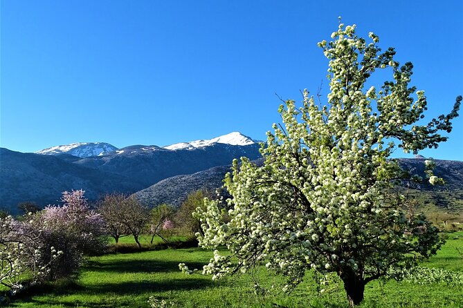 private-guided-tour-to-lasithi-plateau-villages-olive-oil-mill