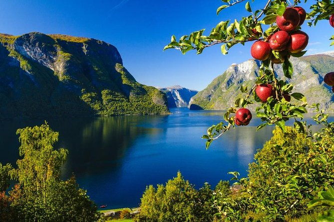 private-guided-tour-to-oslo-naeroyfjord-cruise-flam-railway