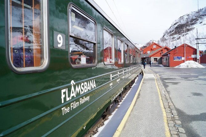 private-guided-tour-to-oslo-naeroyfjord-cruise-flam-railway