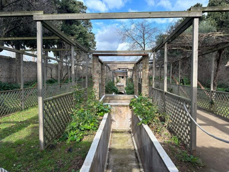 private-guided-tour-to-pompeii-excavations