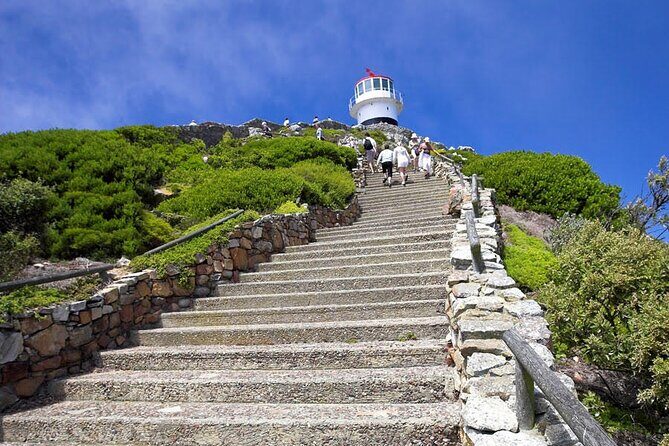 Private Guided Tour to Table Mountain and Cape Point with Penguin - Practical Details & Tips