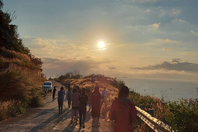 Private Guided Tour To The Wild of Son Tra With Photography - Why This Tour Offers Great Value