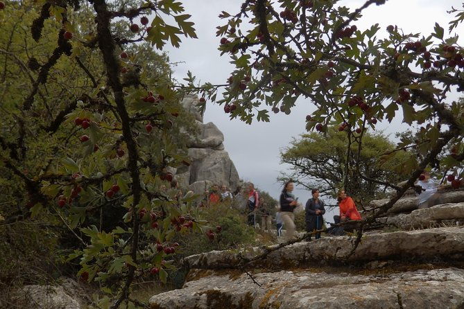 private-guided-tour-to-torcal-de-antequera