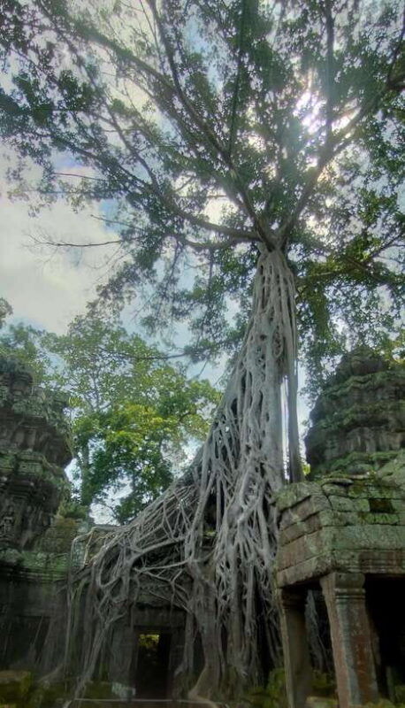 private-guided-tours-from-angkor-wat-sunrise-to-banteay-srei