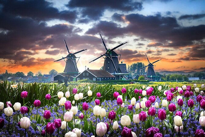 private-guided-tours-in-netherlands