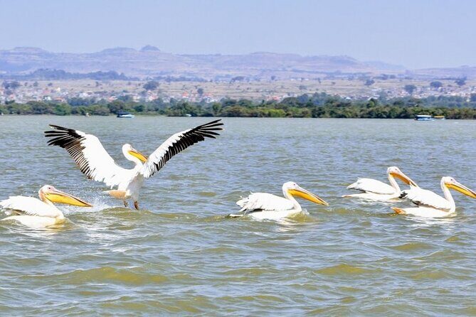 Private Guided Tours To Bahir Dar Lake Tana Monastery & Blue Nile Waterfalls - In The Sum Up