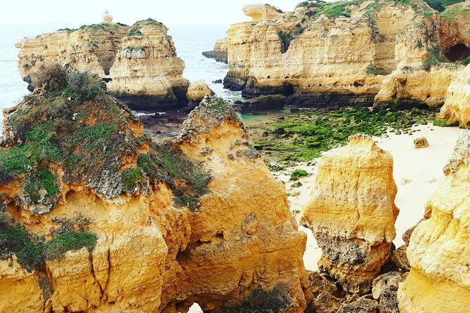 Private Guided Tuk-Tuk Tour with Pick-Up and Drop-Off of Albufeira - Final Thoughts
