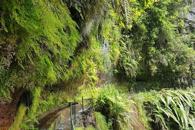 private-guided-walk-levada-do-rei-2