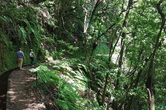private-guided-walk-levada-do-rei-2
