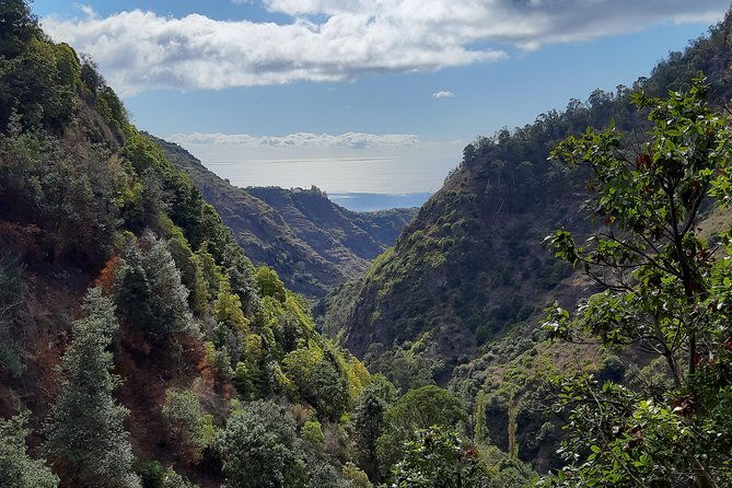 private-guided-walk-ponta-do-sol-levada-moinho