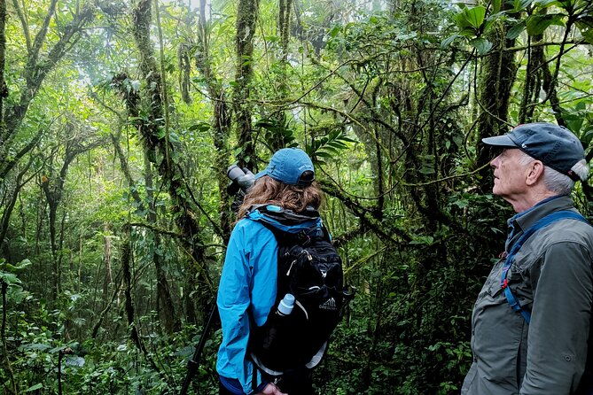 private-guided-walk-to-the-santa-elena-cloud-forest-reserve