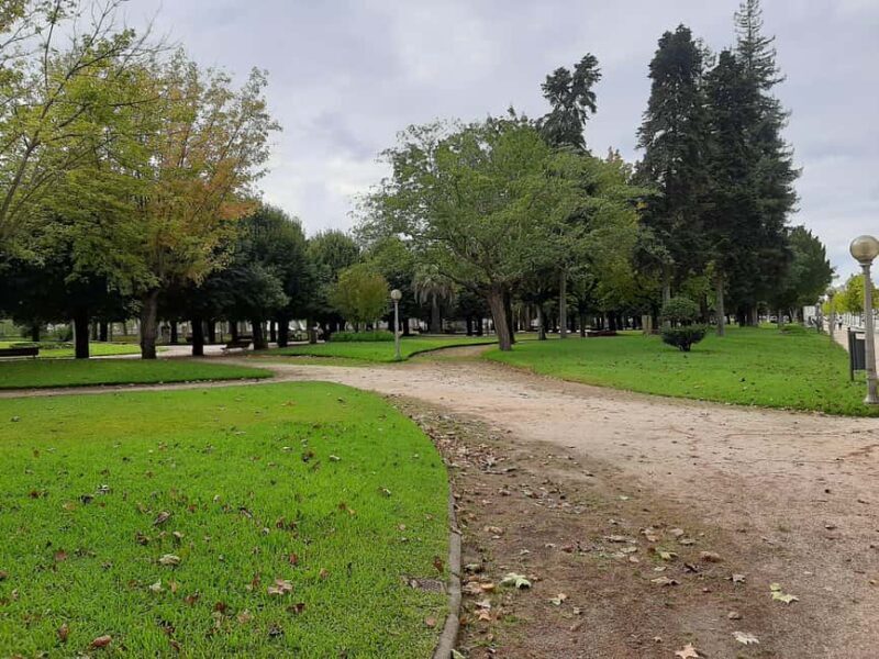 Private guided walking tour in Coimbra (8 hours) - Why Consider This Tour?
