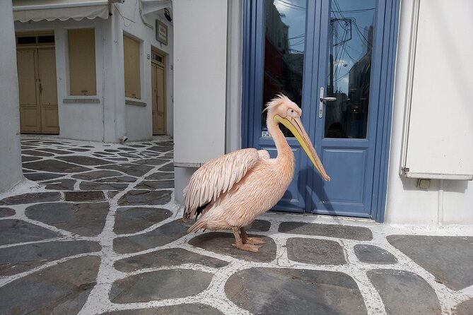 private-guided-walking-tour-in-mykonos-town