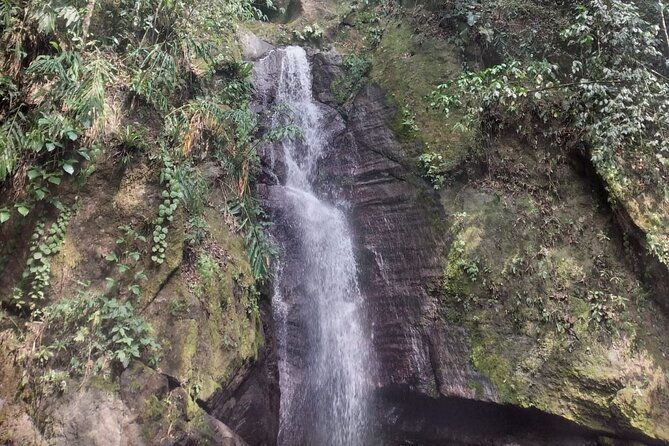 private-guided-water-experience-tour-from-st-andrew-to-portland