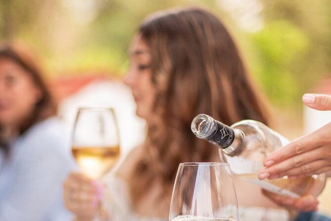 private-guided-wine-tasting-with-tour-of-the-vineyards-in-vieste