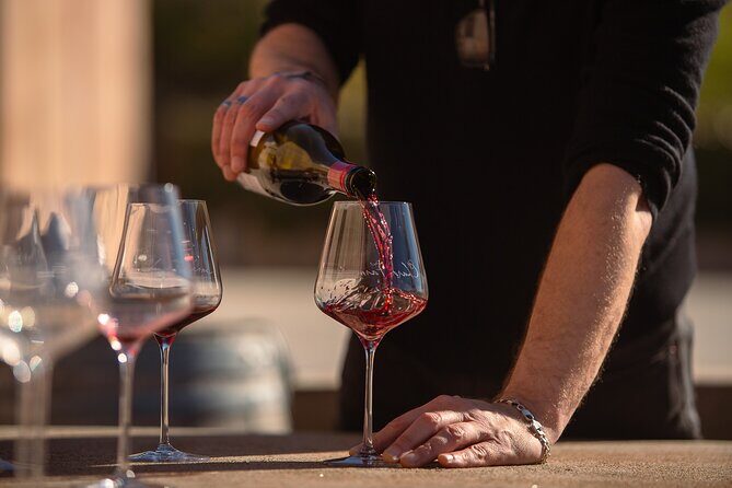 Private Guided Wine Tour Ex Queenstown - Key Points