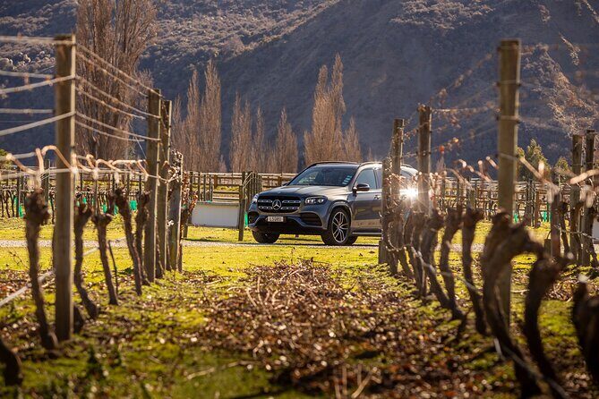 Private Guided Wine Tour Ex Queenstown - Why Choose This Tour?