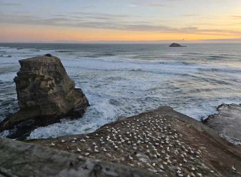 [PRIVATE] Haka to Wine West Coast Journey - Key Points