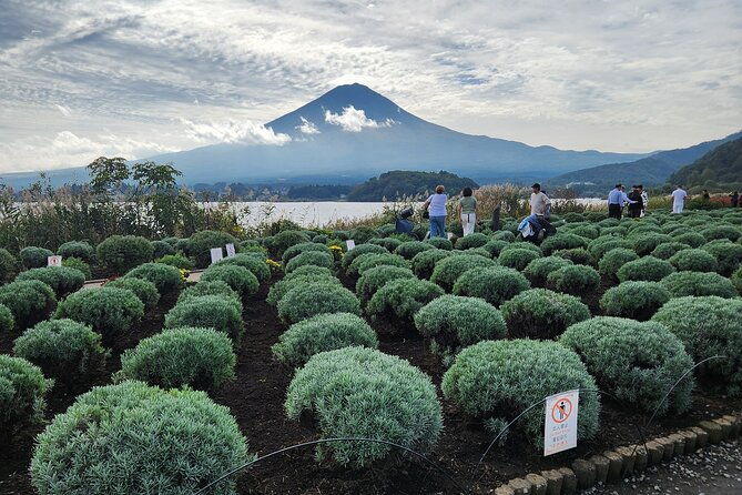 private-hakone-mt-fuji-tour-with-english-speaking-driver