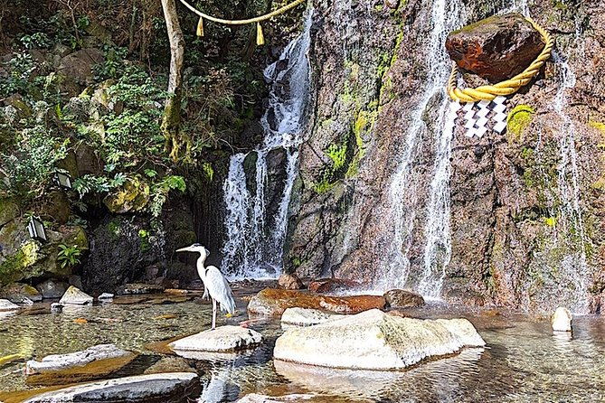 private-hakone-tour-view-of-mt-fuji-nature-and-culture