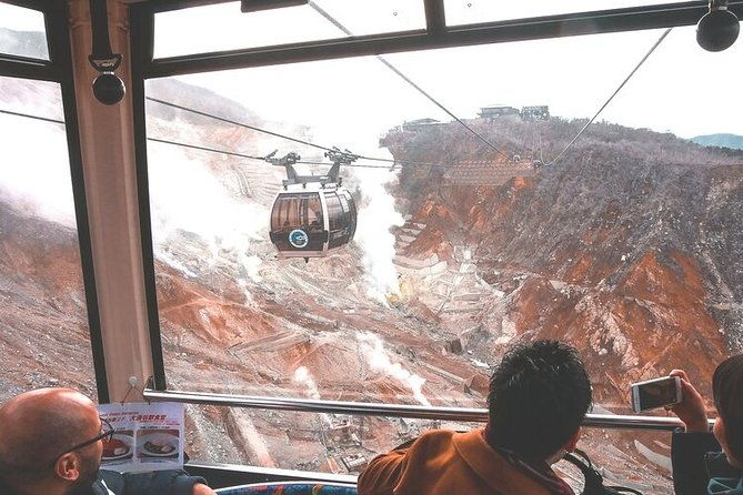 private-hakone-tour-view-of-mt-fuji-nature-and-culture