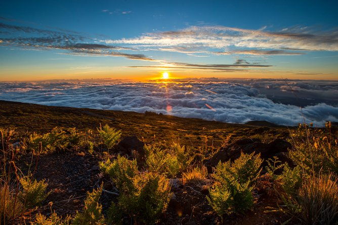 private-haleakala-summit-stroll-from-kahului