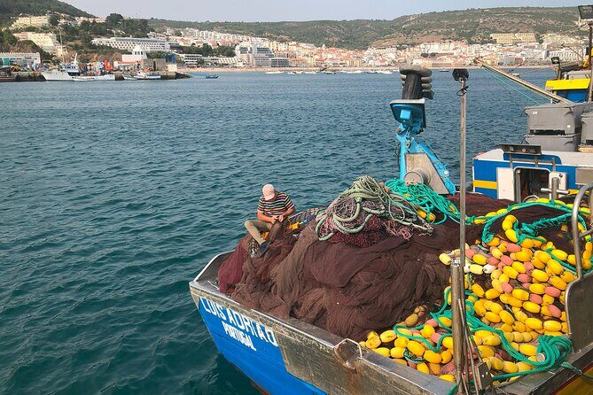 Private Half Day Arrabida Tour with Wine Tasting in Sesimbra - FAQs