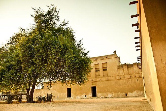 Private Half Day Bahrain Heritage Tour - Authentic Insights from Reviews