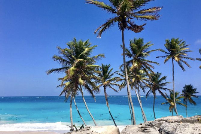 private-half-day-barbados-excursion-with-entrance-fee-discounts