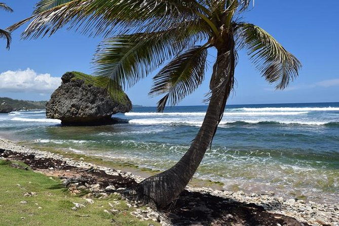 private-half-day-barbados-excursion-with-entrance-fee-discounts