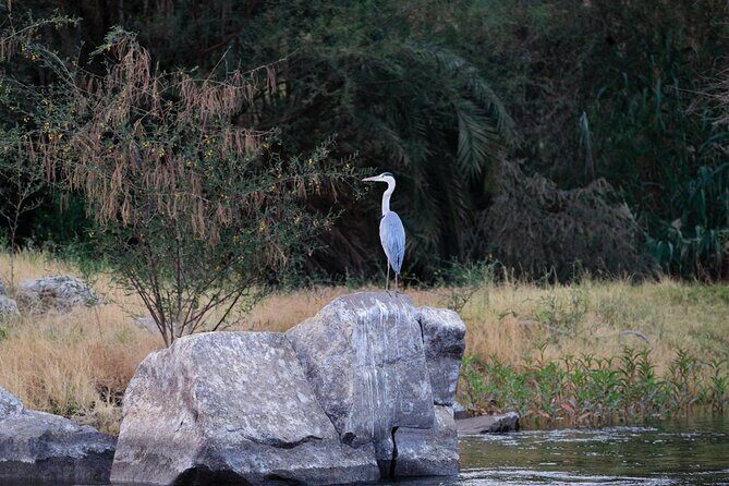 Private Half-Day Bird Watching Tour in Aswan - FAQ