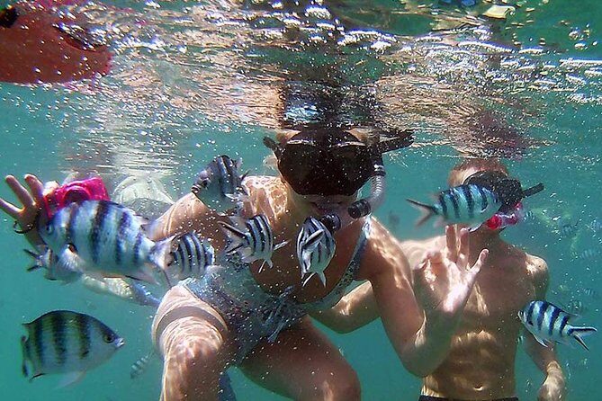 Private Half-Day Blue Dragon Yacht for Snorkeling Koh Tan & Visit Pig Island - Who should consider this tour?