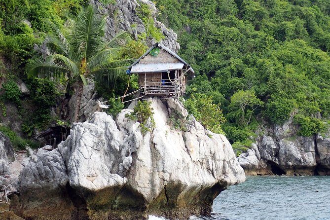 Private Half-Day Blue Dragon Yacht for Snorkeling Koh Tan & Visit Pig Island - Final thoughts