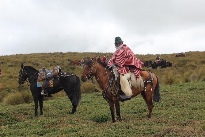 private-half-day-cable-car-and-horseback-tour-above-quito