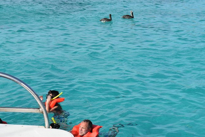 private-half-day-charter