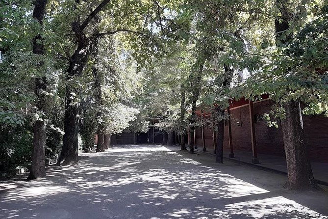 private-half-day-city-tour