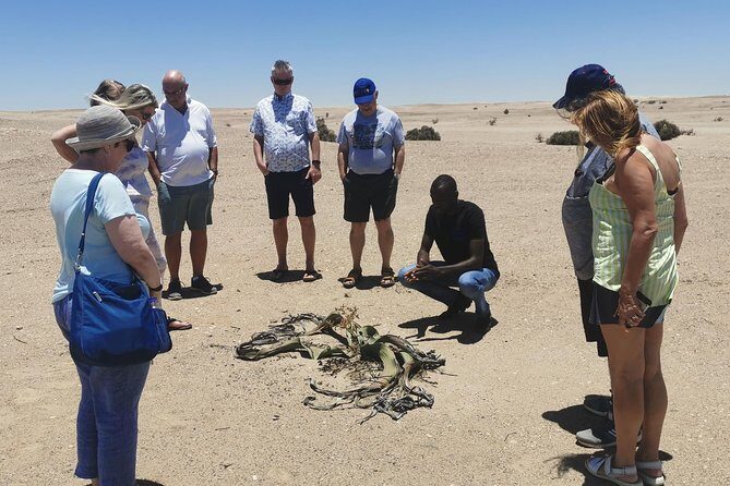 Private Half Day Coast Tour of Walvis Bay and Swakopmund City - Exploring Namibia’s Coast: A Closer Look at the Private Half Day Tour of Walvis Bay and Swakopmund